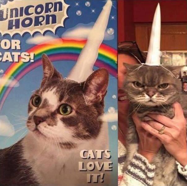 смешной дизайн, предательские упаковки, обман в продуктах, обманывают покупателей