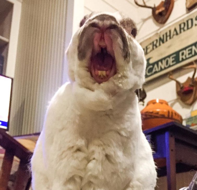 пугающие фотографии привычных вещей, пугающие фотографии обычных вещей