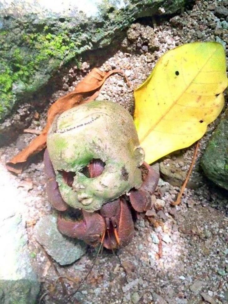 пугающие фотографии привычных вещей, пугающие фотографии обычных вещей