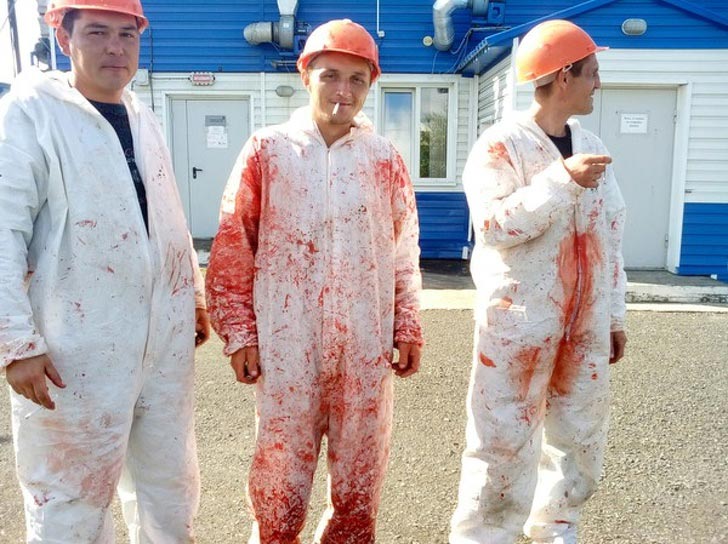 пугающие фотографии привычных вещей, пугающие фотографии обычных вещей