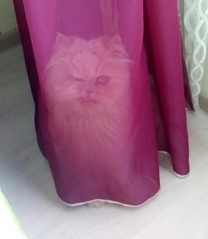 пугающие фотографии привычных вещей, пугающие фотографии обычных вещей