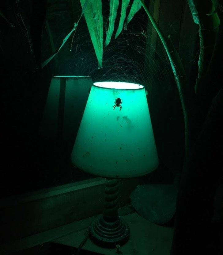 пугающие фотографии привычных вещей, пугающие фотографии обычных вещей