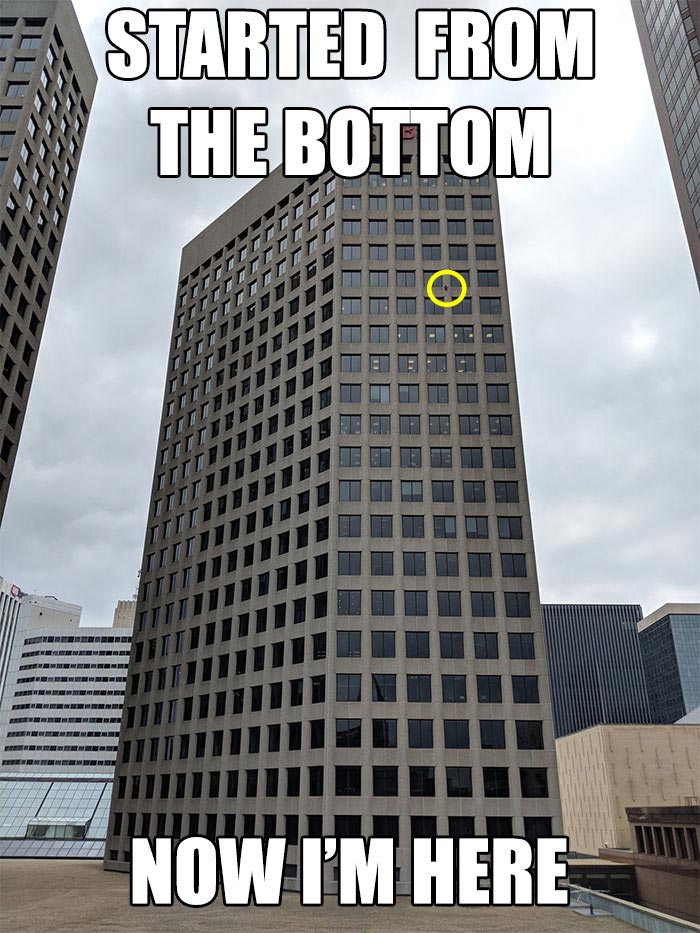 Весь интернет с замиранием сердца следил, как енот сутки взбирался на крышу небоскрёба енот взобрался на небоскрёб, енот влез по зданию, енот залез на небоскрёб, енот по стене небоскрёба