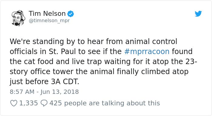 Весь интернет с замиранием сердца следил, как енот сутки взбирался на крышу небоскрёба енот взобрался на небоскрёб, енот влез по зданию, енот залез на небоскрёб, енот по стене небоскрёба