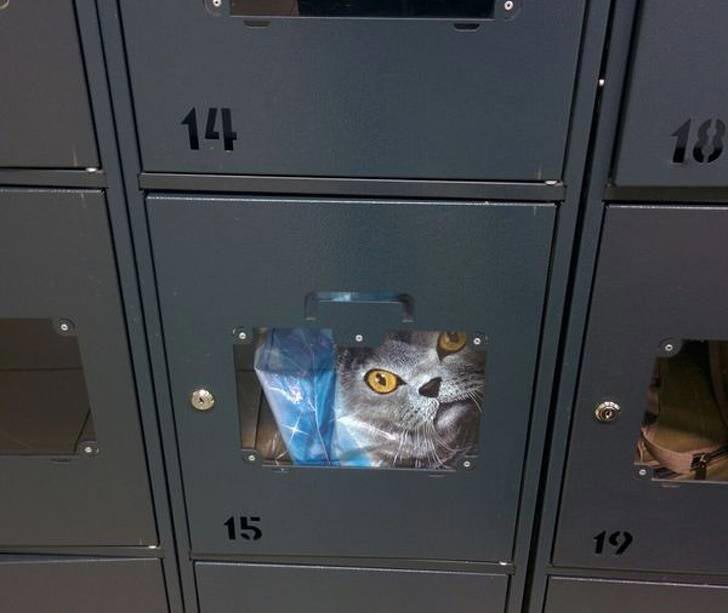 невероятные совпадения, удивительные совпадения, удивительные совпадения фото