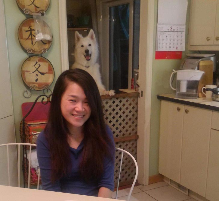 животные которые попали в кадр, животные попали в кадр сделав его смешнее 