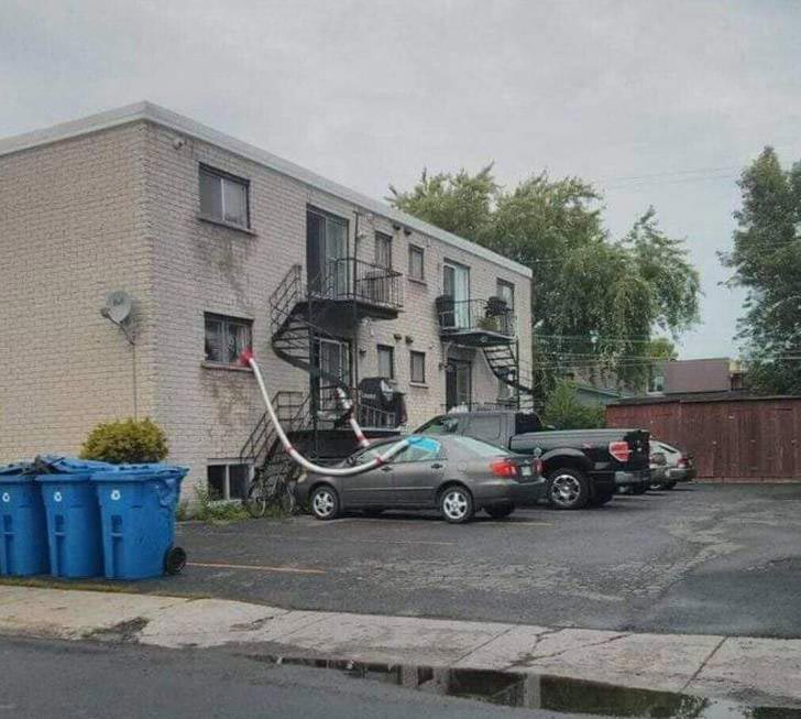 25 смешных фотографий того, как летняя жара меняет мир вокруг летняя жара, смешные фото жара, жара меняет всё, летняя жара фото