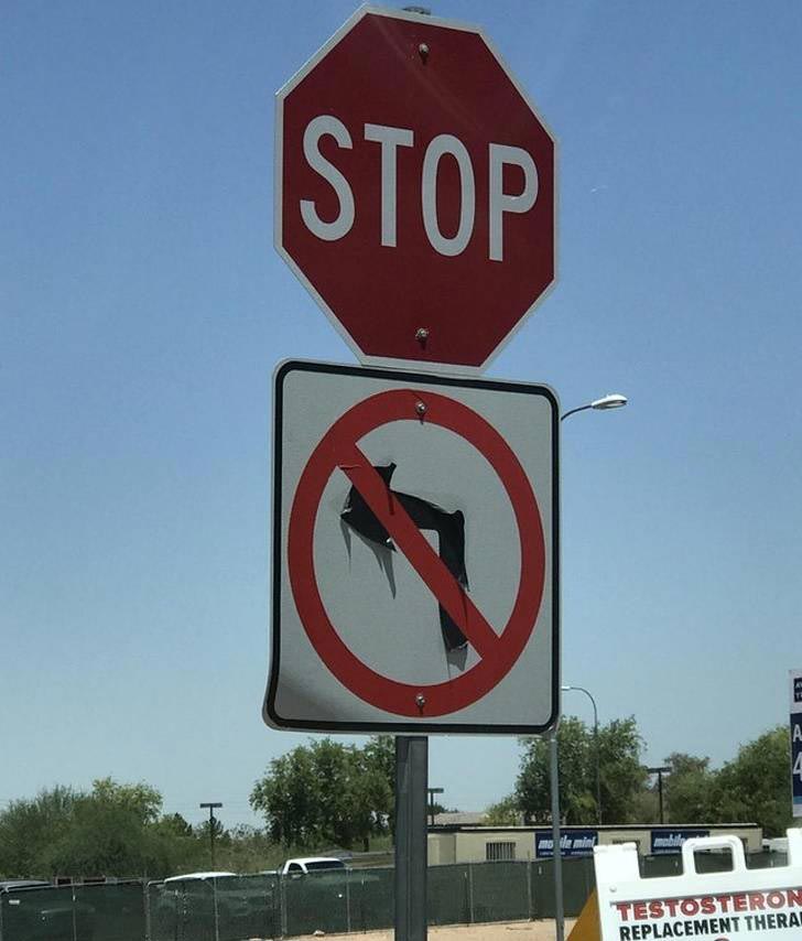 25 смешных фотографий того, как летняя жара меняет мир вокруг летняя жара, смешные фото жара, жара меняет всё, летняя жара фото