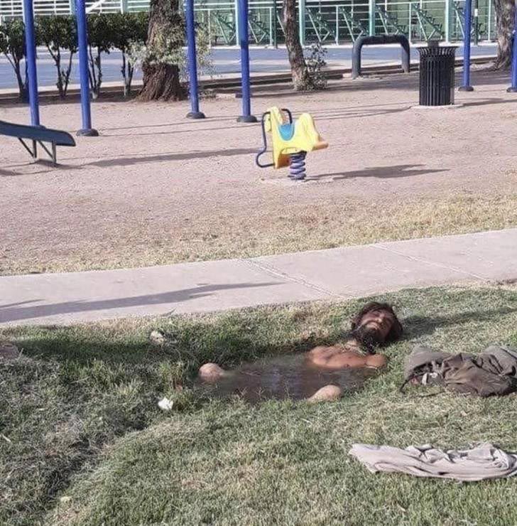 25 смешных фотографий того, как летняя жара меняет мир вокруг летняя жара, смешные фото жара, жара меняет всё, летняя жара фото