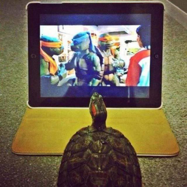 добрые фото, вдохновляющие фото, добрые фотографии, вместо тысячи слов