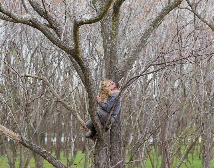 добрые фото, вдохновляющие фото, добрые фотографии, вместо тысячи слов