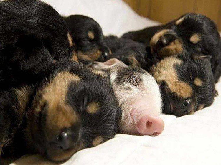 добрые фото, вдохновляющие фото, добрые фотографии, вместо тысячи слов