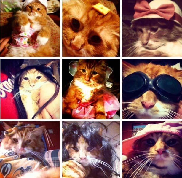 семейное безумие, семейные подколы, семейные розыгрыши, розыгрыши семьи