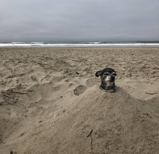 семейное безумие, семейные подколы, семейные розыгрыши, розыгрыши семьи