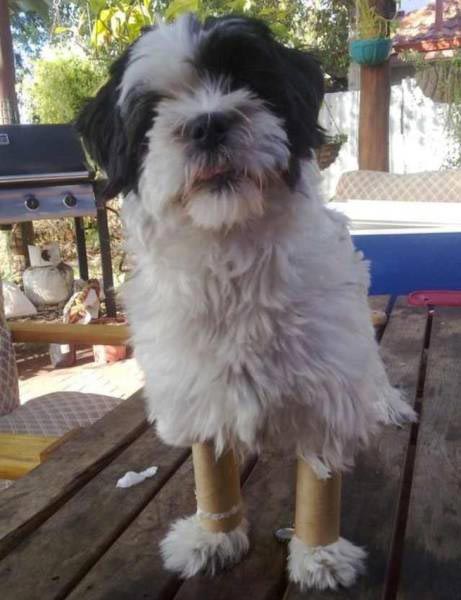 семейное безумие, семейные подколы, семейные розыгрыши, розыгрыши семьи