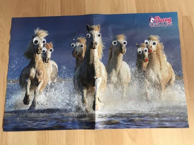 семейное безумие, семейные подколы, семейные розыгрыши, розыгрыши семьи