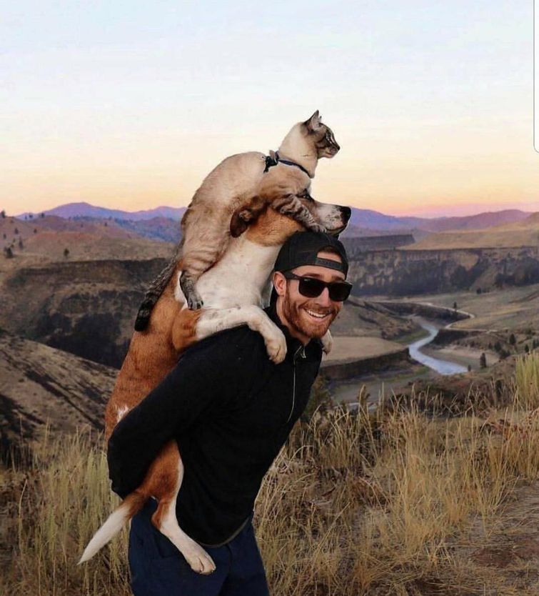 добре фотографии, фото добра, отдыхающие фотографии, красивые и добрые фотографии