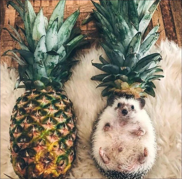 добре фотографии, фото добра, отдыхающие фотографии, красивые и добрые фотографии