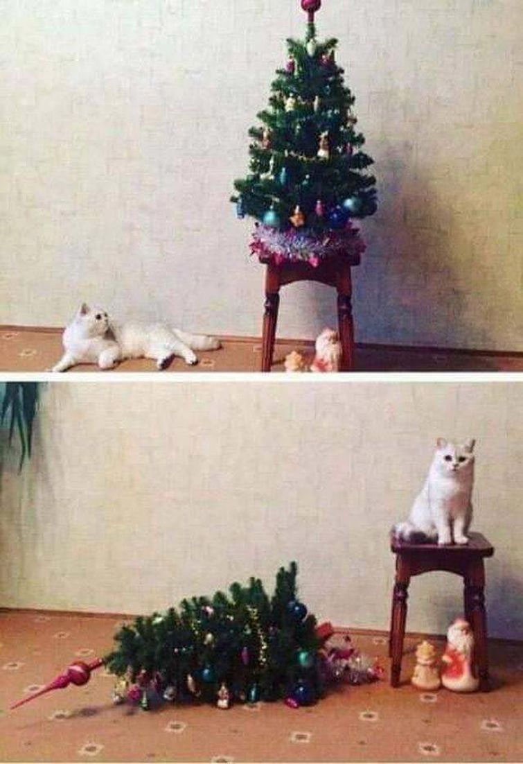 добре фотографии, фото добра, отдыхающие фотографии, красивые и добрые фотографии