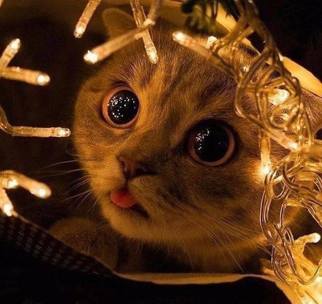 добре фотографии, фото добра, отдыхающие фотографии, красивые и добрые фотографии