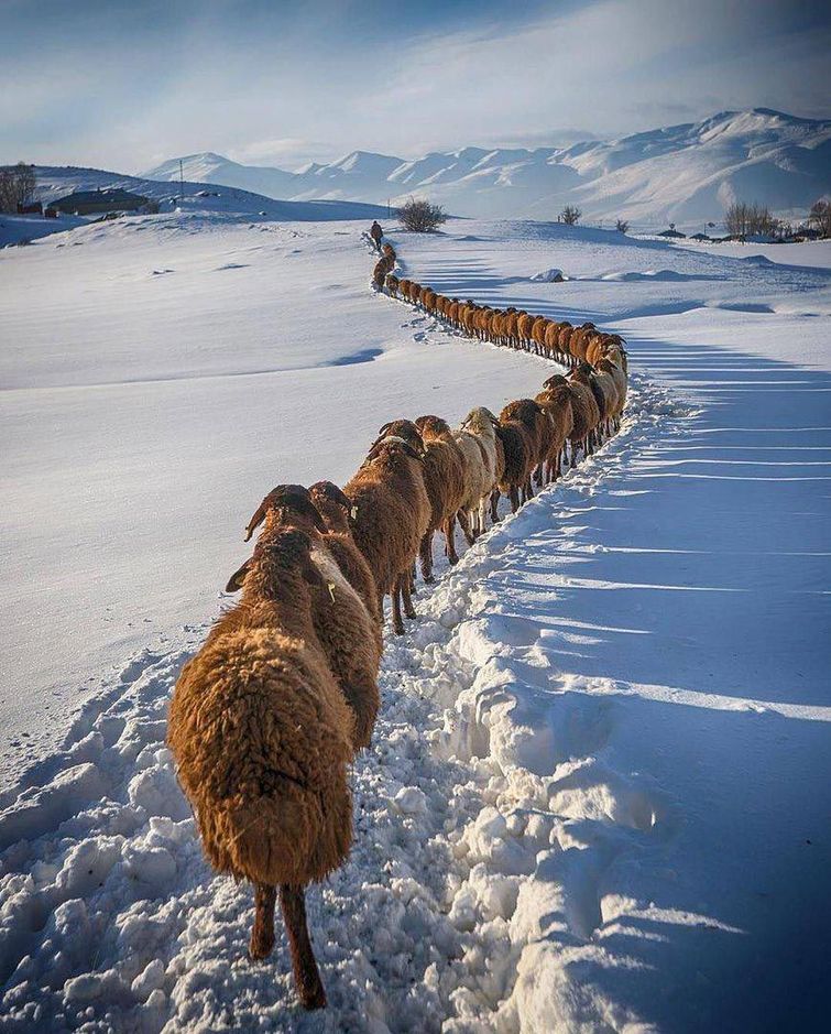 добре фотографии, фото добра, отдыхающие фотографии, красивые и добрые фотографии