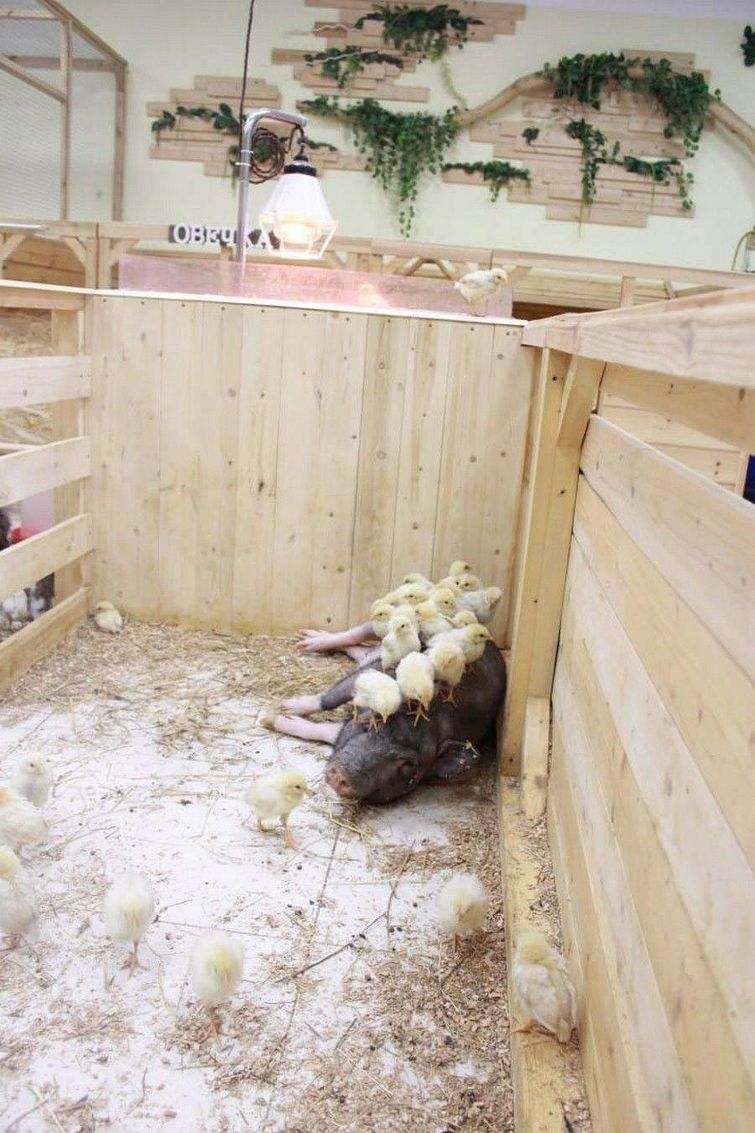 добре фотографии, фото добра, отдыхающие фотографии, красивые и добрые фотографии