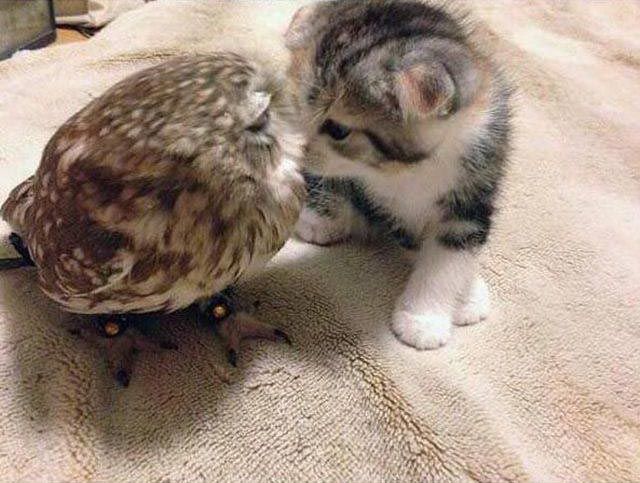 добре фотографии, фото добра, отдыхающие фотографии, красивые и добрые фотографии