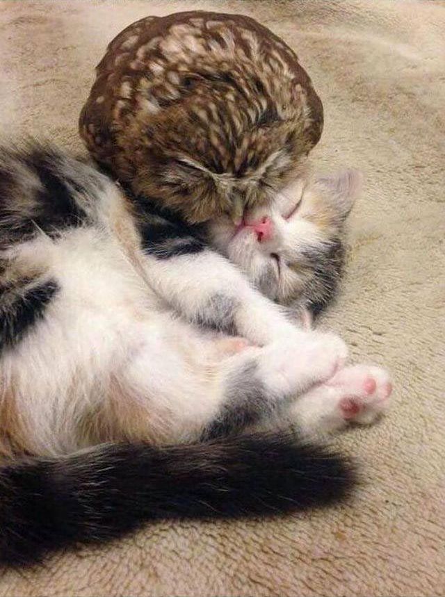 добре фотографии, фото добра, отдыхающие фотографии, красивые и добрые фотографии