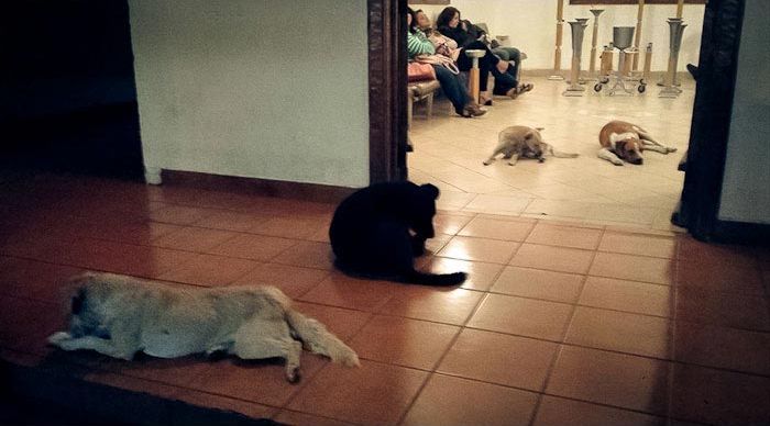 25 раз, когда люди почтили память своих близких самыми трогательными способами трогательный способ почтить память, люди почтили память близких, необычные похороны, случаи на похоронах