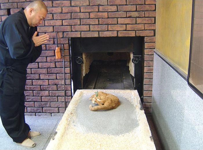 25 раз, когда люди почтили память своих близких самыми трогательными способами трогательный способ почтить память, люди почтили память близких, необычные похороны, случаи на похоронах