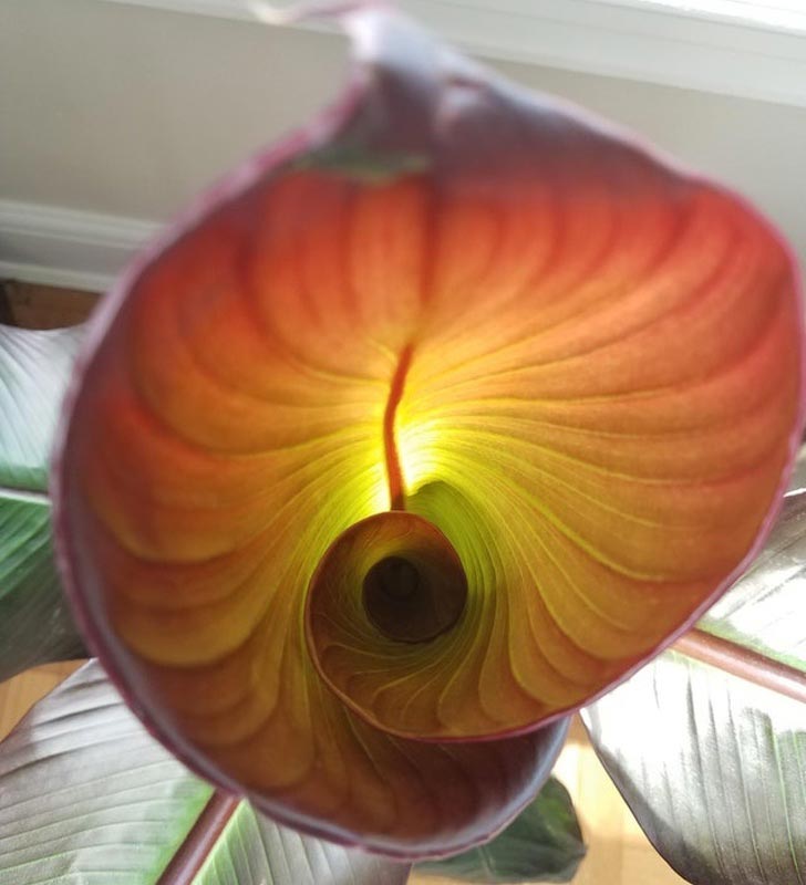 удивительные фотографии без фотошопа, поразительные фотографии природы