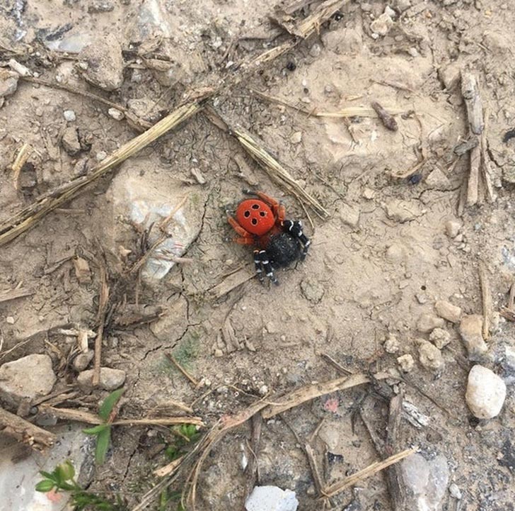 удивительные фотографии без фотошопа, поразительные фотографии природы