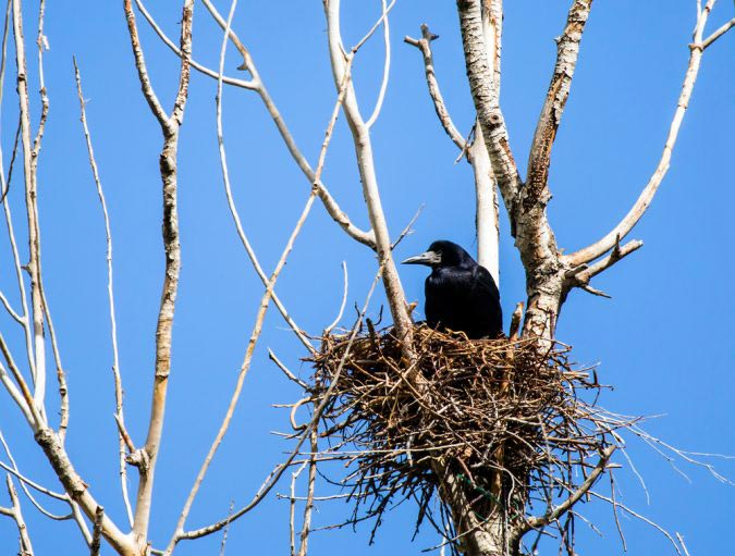 позитивные факты, добрые факты, добрые истории