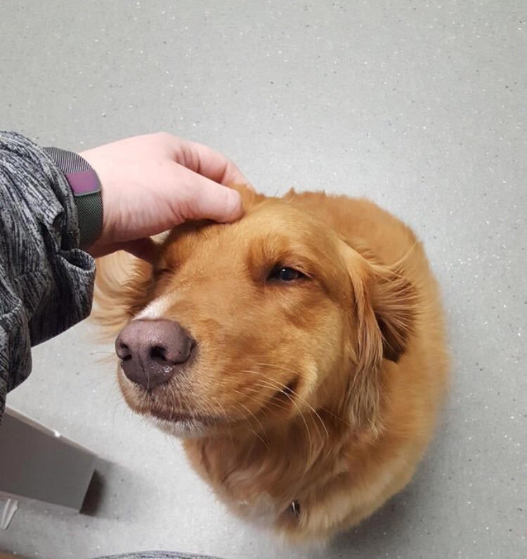 оптические иллюзии, сбивающие с толку фотографии, фотографии смотреть дважды