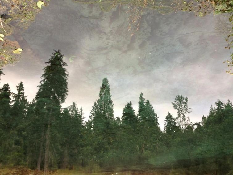 оптические иллюзии, сбивающие с толку фотографии, фотографии смотреть дважды