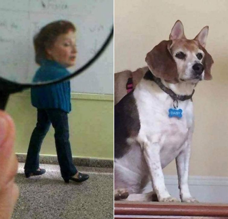 оптические иллюзии, сбивающие с толку фотографии, фотографии смотреть дважды