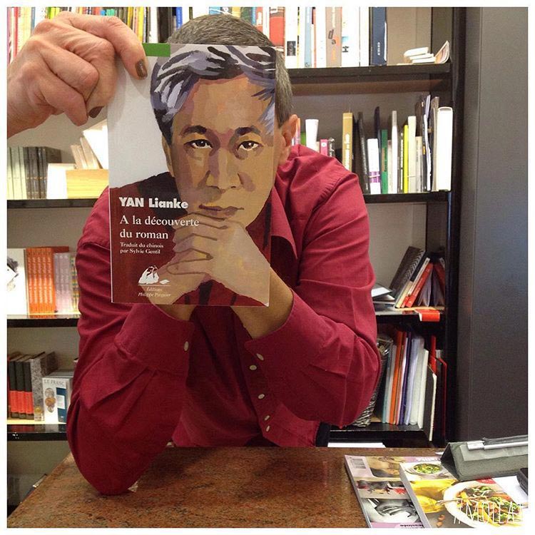 Book Face, книгалицо, обложка книги лицо, обложка книги маска, обложка книги заменяет лицо