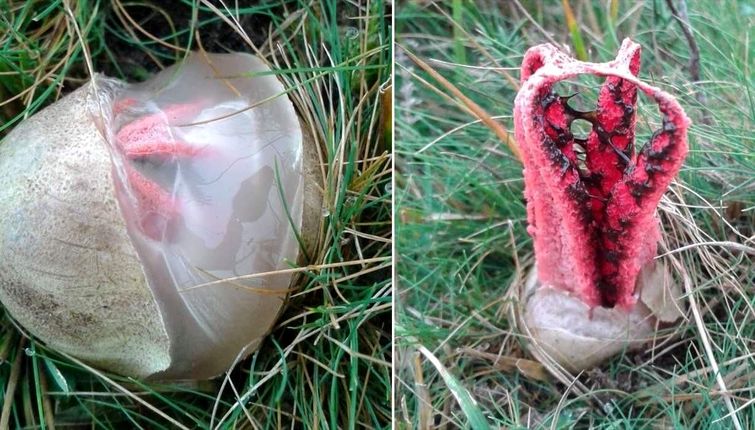 познавательные фото природа, факты о природе, удивительная природа, удивительные истории о природе