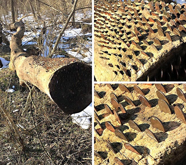 22 любопытные и очень странные находки, которые случайно обнаружили люди странные находки, люди нашли странные вещи