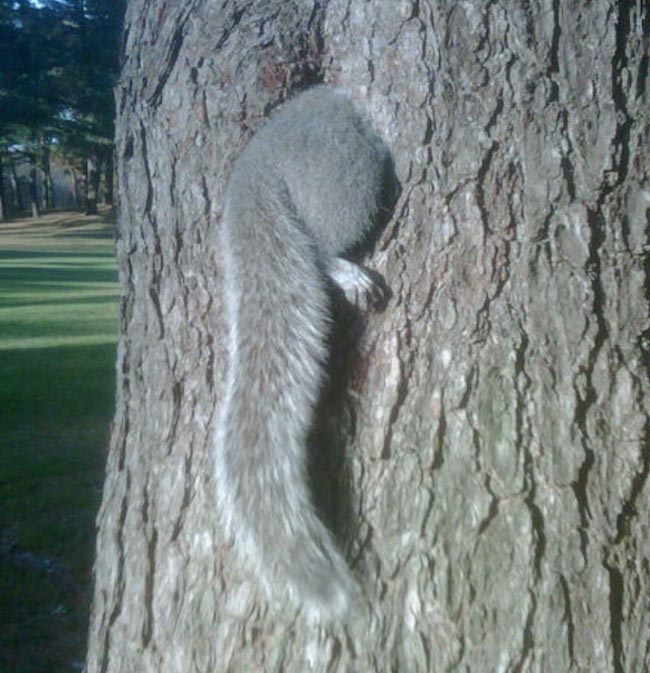 22 любопытные и очень странные находки, которые случайно обнаружили люди странные находки, люди нашли странные вещи