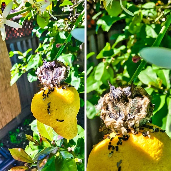 22 любопытные и очень странные находки, которые случайно обнаружили люди странные находки, люди нашли странные вещи