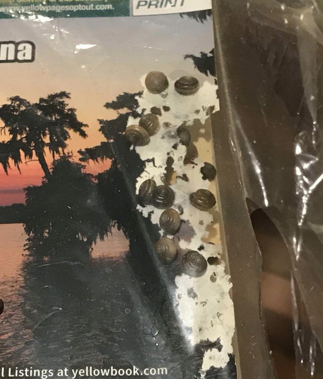 22 любопытные и очень странные находки, которые случайно обнаружили люди странные находки, люди нашли странные вещи