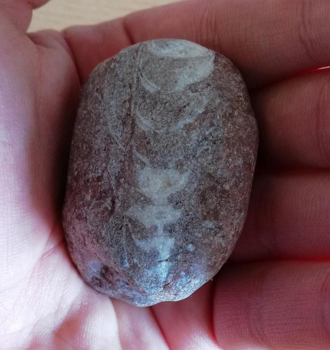 22 любопытные и очень странные находки, которые случайно обнаружили люди странные находки, люди нашли странные вещи