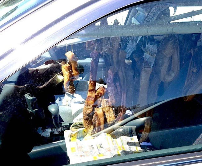 22 любопытные и очень странные находки, которые случайно обнаружили люди странные находки, люди нашли странные вещи