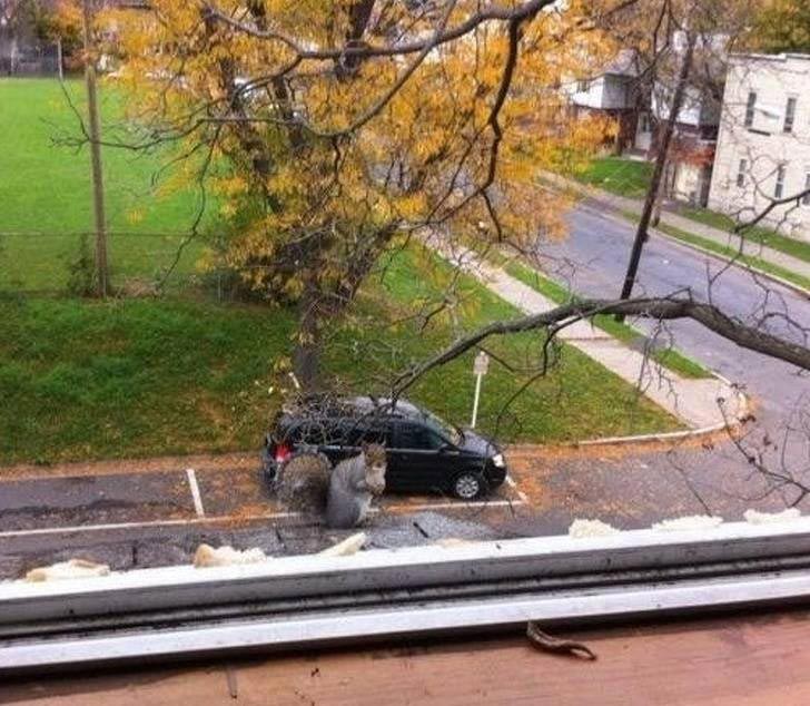 оптические иллюзии фото, смешные оптические иллюзии, оптические иллюзии получились случайно