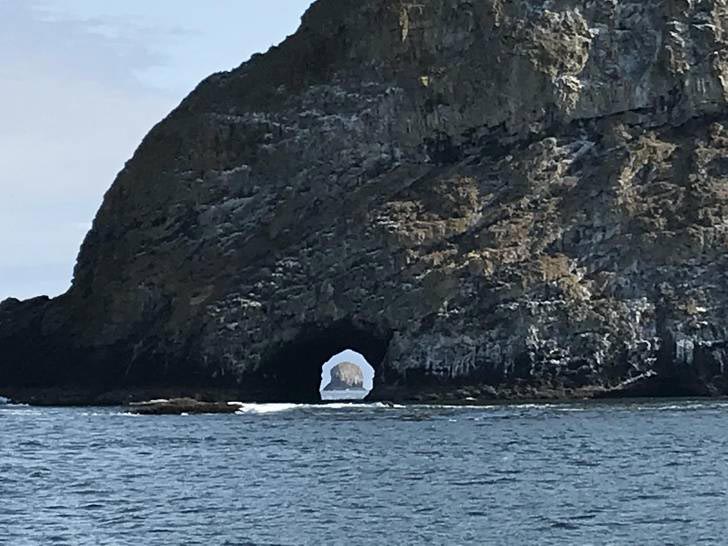 оптические иллюзии фото, смешные оптические иллюзии, оптические иллюзии получились случайно