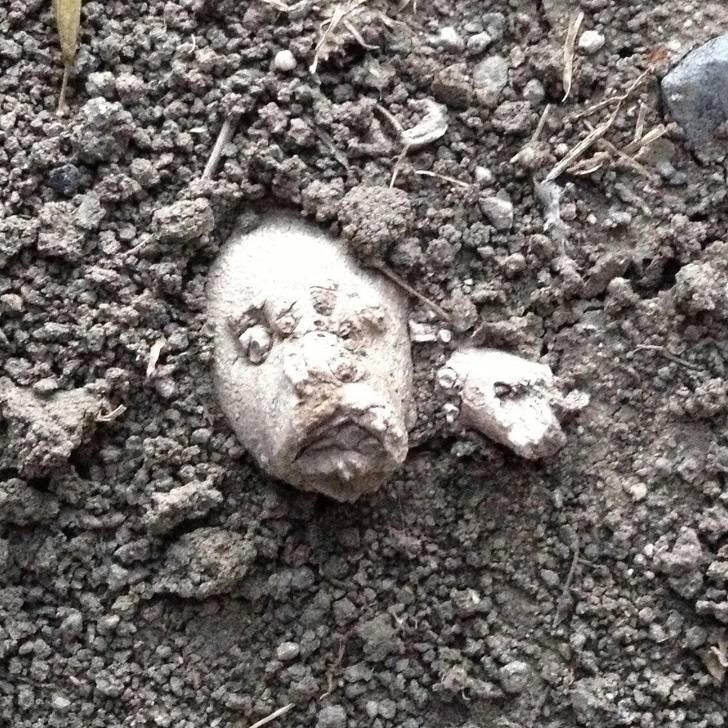 оптические иллюзии фото, смешные оптические иллюзии, оптические иллюзии получились случайно