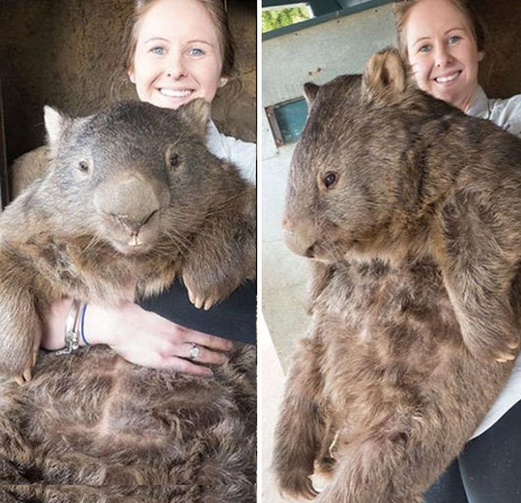 25 обычных на первый взгляд вещей, которые оказались неожиданно большими неожиданно больше вещи, вещ которые оказались больше чем мы думали