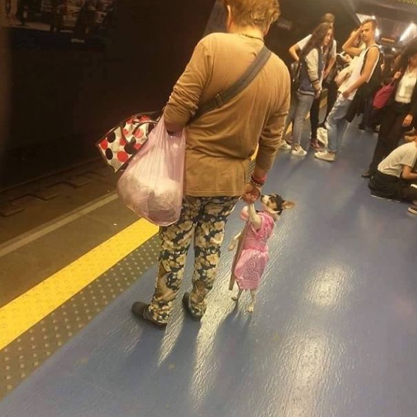 25 раз, когда люди видели в метро странные вещи, которые смешат и пугают одновременно люди видели в метро странные вещи, странные люди в метро