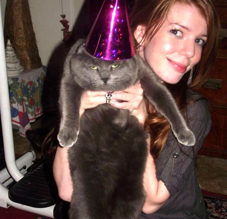 Люди делятся смешными и странными фотографиями своих питомцев